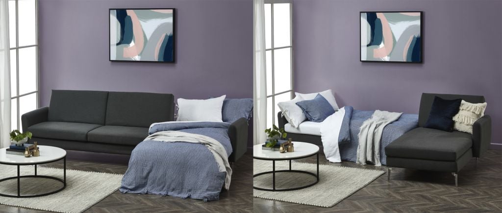 紫色- Grey-Couch