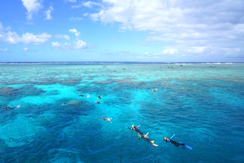 游客潜水在大堡礁珊瑚海
