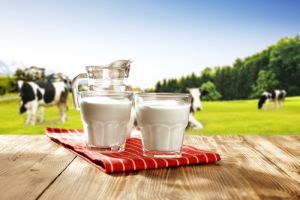 什么是最好的低脂脱脂牛奶?