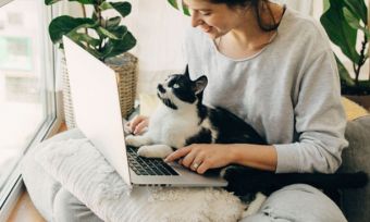女人使用笔记本电脑和猫在大腿上