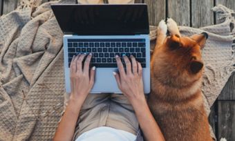 手提电脑的女人和狗的俯视图