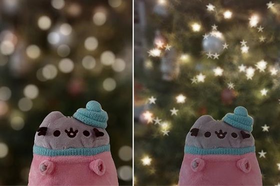 圣诞树背景下的猫毛绒玩具