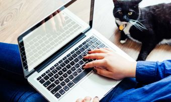 女人用笔记本电脑，旁边有一只黑白相间的猫