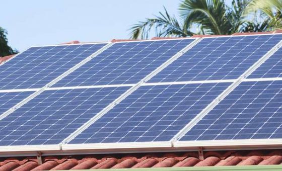屋顶上的太阳能电池板，背景是棕榈树