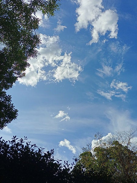 蓝天白云的照片