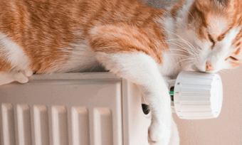 猫在加热器