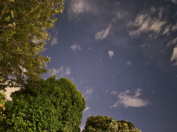 夜晚的天空和树木